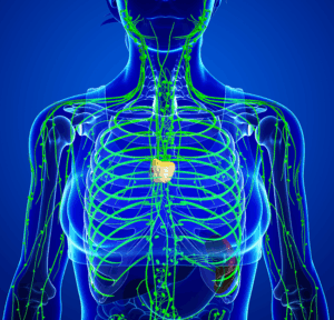 lymphatic-therapy